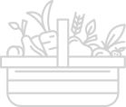 home-content-vector-image-1 y